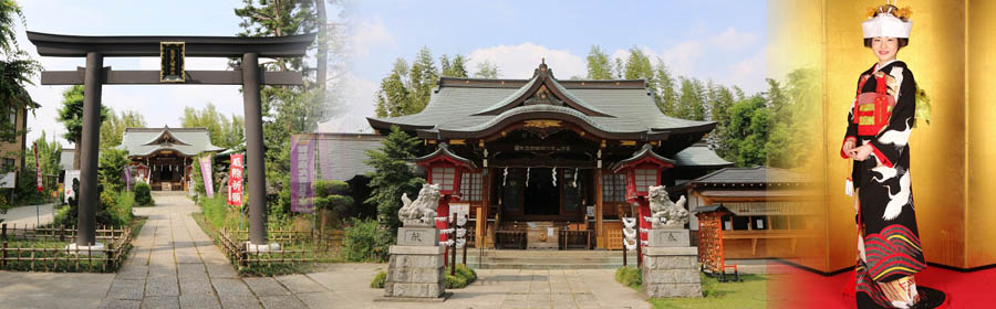 写真:鷺宮八幡神社の鳥居・拝殿・黒引き袖の花嫁